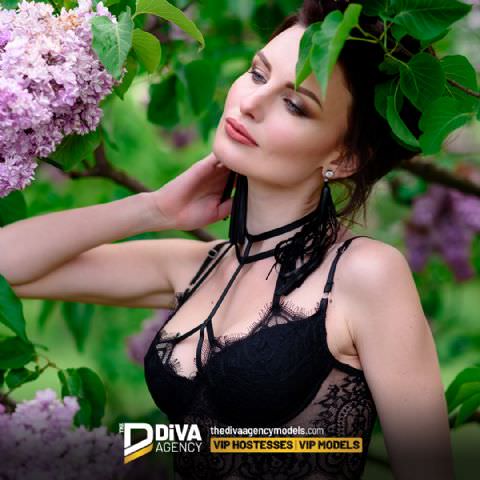 Photo Gallery